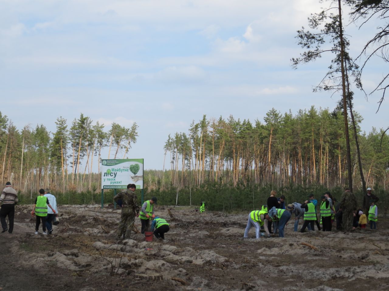 «Майбутнє лісу в твоїх руках»
