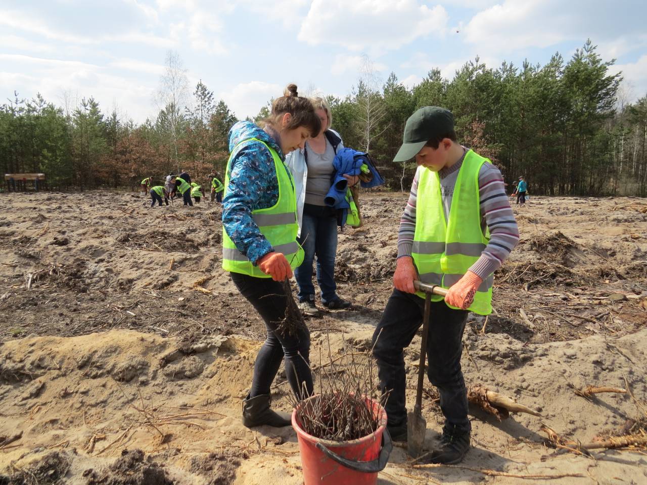 «Майбутнє лісу в твоїх руках»