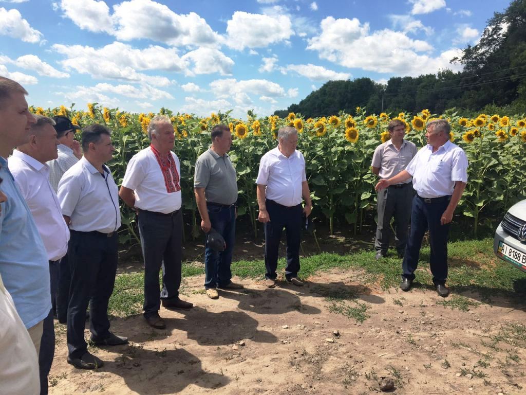 День поля у ВП НУБіП України «Великоснітинське НДГ ім.О.В.Музиченка»