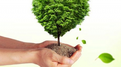 Вітання з Днем працівника лісу!