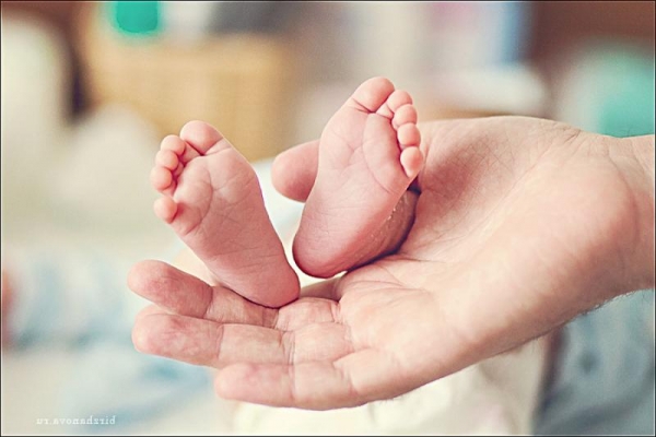 Статистика пологового відділення КНП ФРР &laquo;Фастівська ЦРЛ&raquo; з 15 по 22 листопада