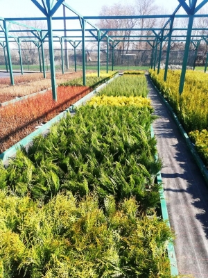 Фастівська районна рада завжди підтримує ініціативу інвестування в економіку району.