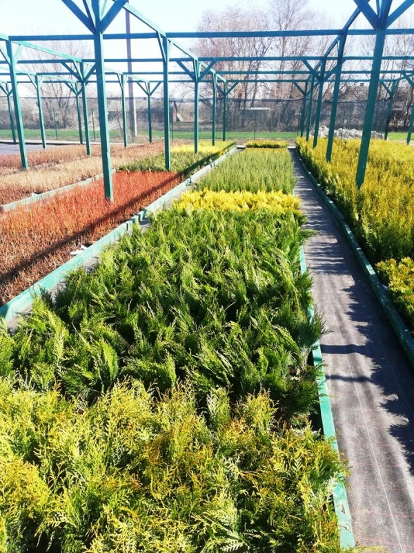 Фастівська районна рада завжди підтримує ініціативу інвестування в економіку району.